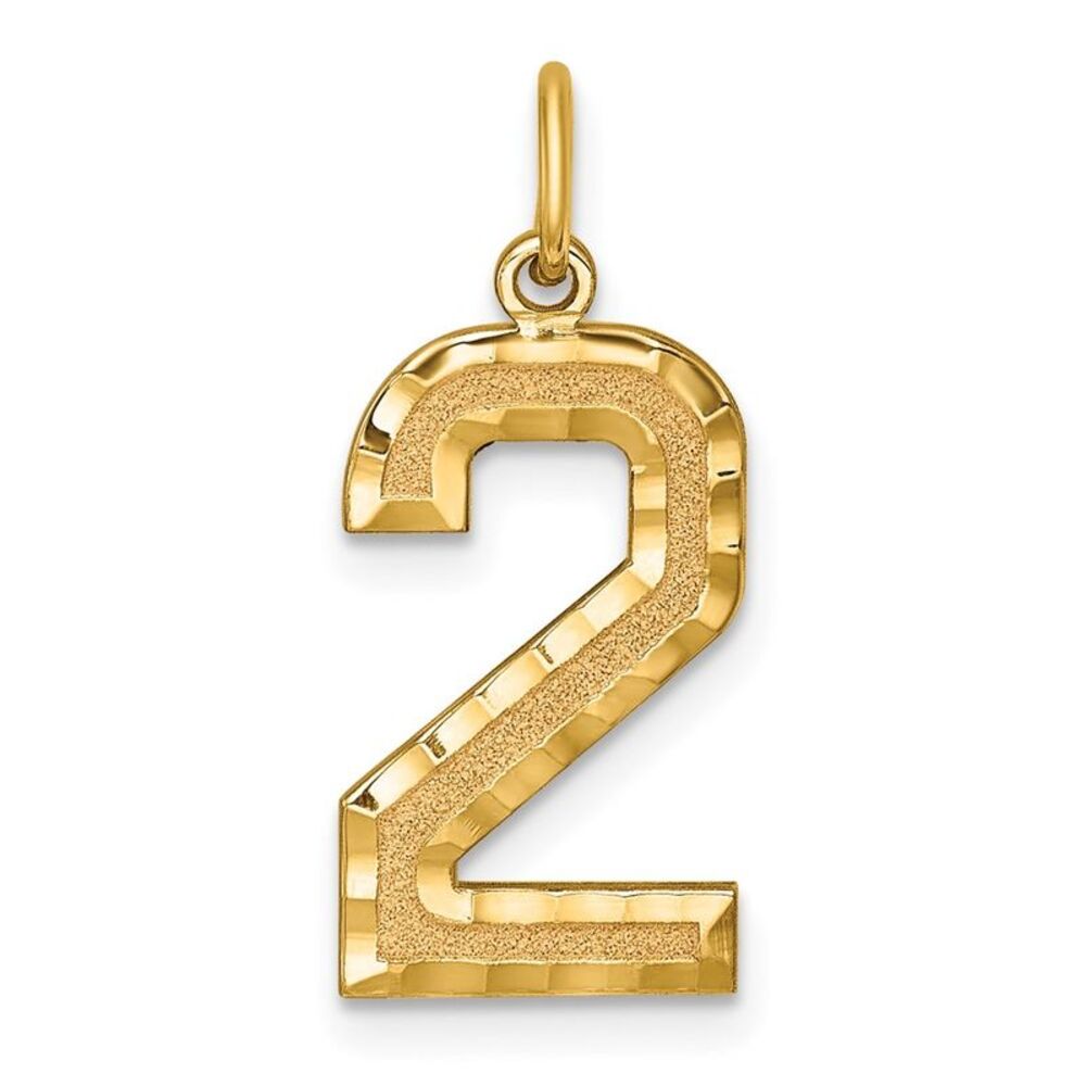 14k Yellow Gold, Varsity Collection, Large D/C Pendant Number 2